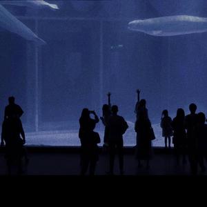 99视频全部免费精品全部四虎
