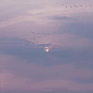 99视频全部免费精品全部四虎
